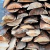 Горбыль-Опилки